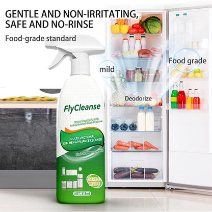 FlyCleanse Kitchen Grease Cleaner Spray – Spray Away Kitchen Grease Fast-RH