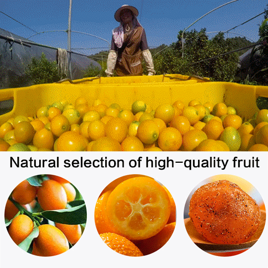 Licorice Kumquat: Cough & Sore Throat Relief-YAO