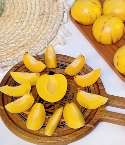 Ginseng Fruit Seeds – Grow Your Own Exotic Ginseng Fruit at Home | Non-GMO & Heirloom Variety-YAO