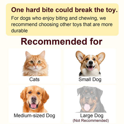 Interactive Pet Teaser Ball – USB Rechargeable Rolling Cat & Dog Toy with Sound & Light for Indoor Play, Anti-Boredom & Exercise-RH