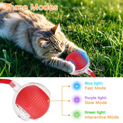Interactive Pet Teaser Ball – USB Rechargeable Rolling Cat & Dog Toy with Sound & Light for Indoor Play, Anti-Boredom & Exercise-RH