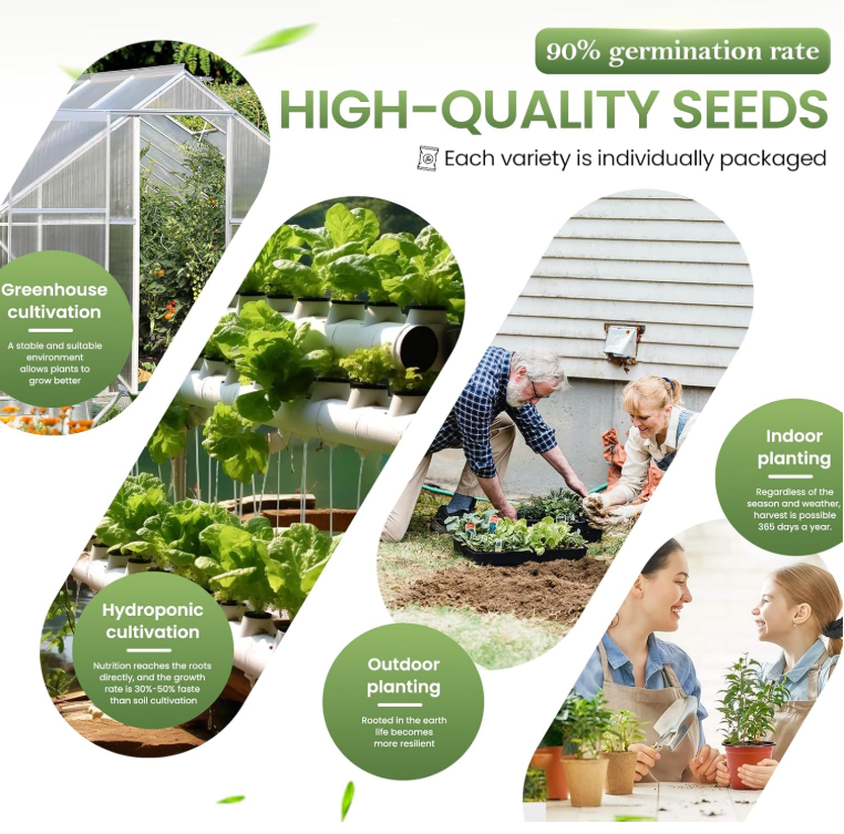 35-Variety Vegetable Seed Vault Kit – Heirloom Seeds for Home Gardening-YAO