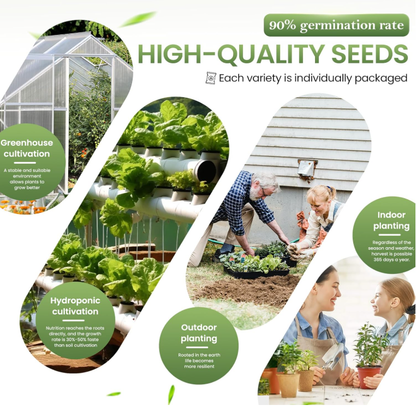35-Variety Vegetable Seed Vault Kit – Heirloom Seeds for Home Gardening-YAO