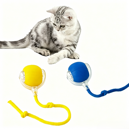 Interactive Pet Teaser Ball – USB Rechargeable Rolling Cat & Dog Toy with Sound & Light for Indoor Play, Anti-Boredom & Exercise-RH