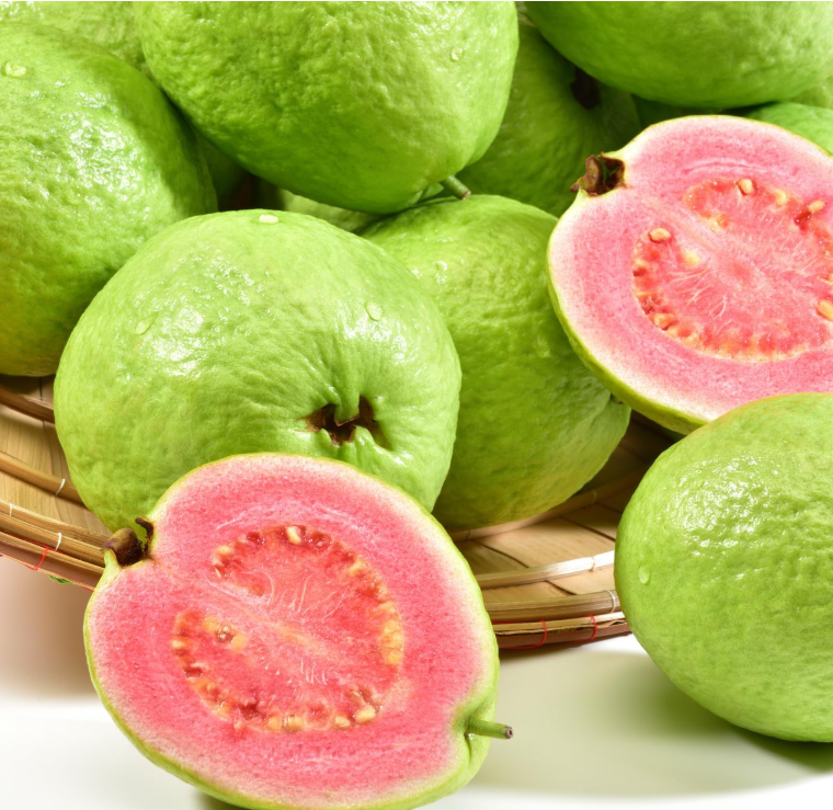 Red Guava Seeds – Non-GMO Fruit Tree Seeds for Pots, Gardens & Greenhouses-YAO