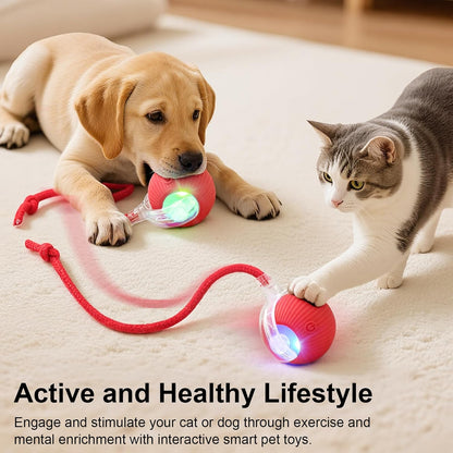 Interactive Pet Teaser Ball – USB Rechargeable Rolling Cat & Dog Toy with Sound & Light for Indoor Play, Anti-Boredom & Exercise-RH