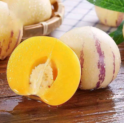 Ginseng Fruit Seeds – Grow Your Own Exotic Ginseng Fruit at Home | Non-GMO & Heirloom Variety-YAO