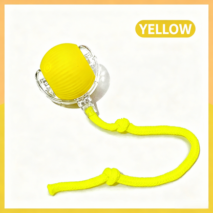 Interactive Pet Teaser Ball – USB Rechargeable Rolling Cat & Dog Toy with Sound & Light for Indoor Play, Anti-Boredom & Exercise-RH