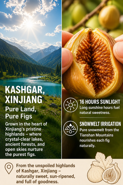 Natural Sun-Dried Figs – Sweet & Chewy Healthy Fruit Snack-YAO