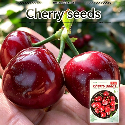 Premium Cherry Seeds - Grow Your Own Sweet Cherries at Home | High Yield, Easy to Grow, and Fresh Harvest-RH