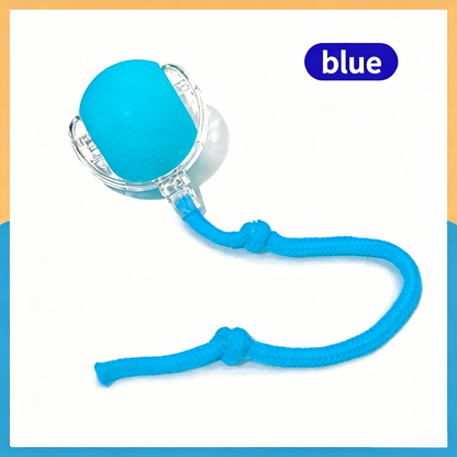 Interactive Pet Teaser Ball – USB Rechargeable Rolling Cat & Dog Toy with Sound & Light for Indoor Play, Anti-Boredom & Exercise-RH
