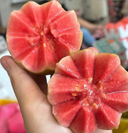 Red Guava Seeds – Non-GMO Fruit Tree Seeds for Pots, Gardens & Greenhouses-YAO