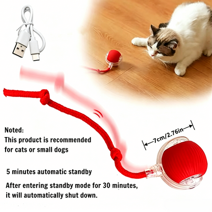 Interactive Pet Teaser Ball – USB Rechargeable Rolling Cat & Dog Toy with Sound & Light for Indoor Play, Anti-Boredom & Exercise-RH