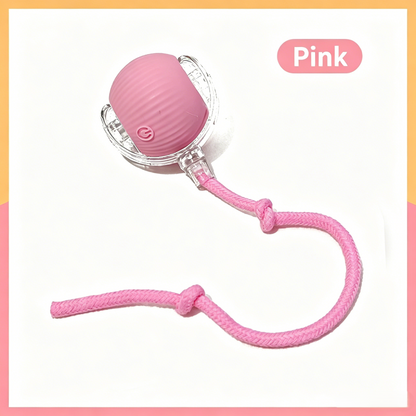 Interactive Pet Teaser Ball – USB Rechargeable Rolling Cat & Dog Toy with Sound & Light for Indoor Play, Anti-Boredom & Exercise-RH