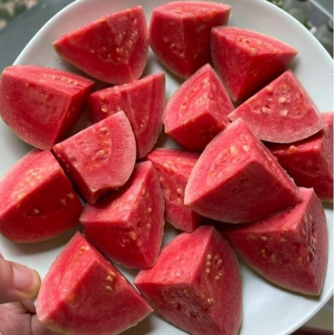 Red Guava Seeds – Non-GMO Fruit Tree Seeds for Pots, Gardens & Greenhouses-YAO