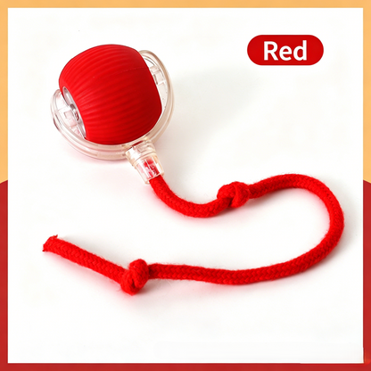 Interactive Pet Teaser Ball – USB Rechargeable Rolling Cat & Dog Toy with Sound & Light for Indoor Play, Anti-Boredom & Exercise-RH