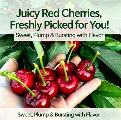 Premium Cherry Seeds - Grow Your Own Sweet Cherries at Home | High Yield, Easy to Grow, and Fresh Harvest-RH