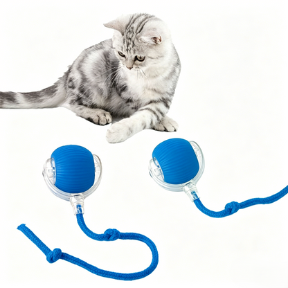 Interactive Pet Teaser Ball – USB Rechargeable Rolling Cat & Dog Toy with Sound & Light for Indoor Play, Anti-Boredom & Exercise-RH