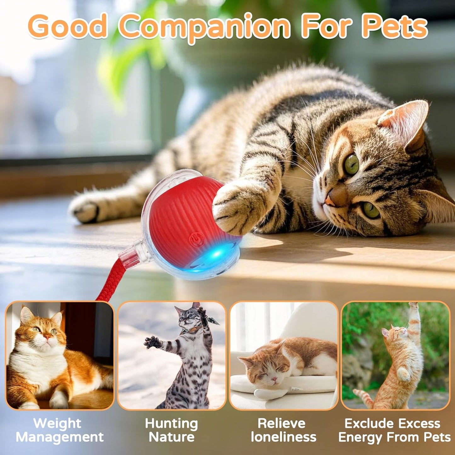 Interactive Pet Teaser Ball – USB Rechargeable Rolling Cat & Dog Toy with Sound & Light for Indoor Play, Anti-Boredom & Exercise-RH