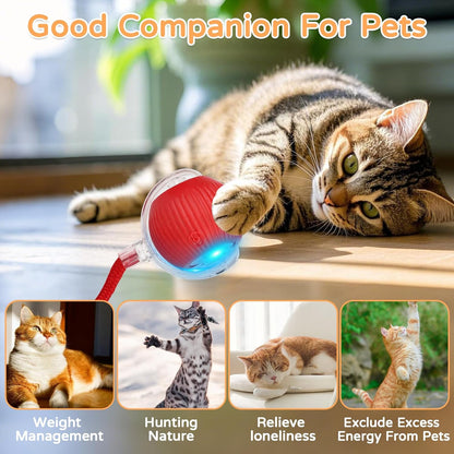Interactive Pet Teaser Ball – USB Rechargeable Rolling Cat & Dog Toy with Sound & Light for Indoor Play, Anti-Boredom & Exercise-RH