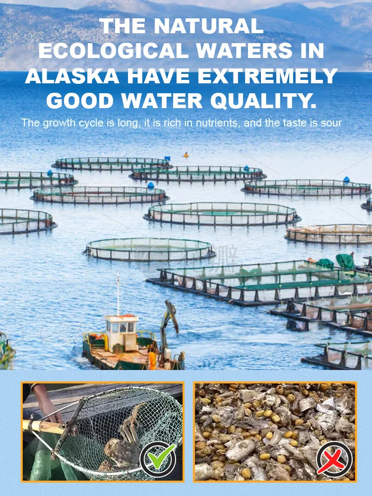 Alaskan Snow Crab Ready-to-EatCrispy Crab-YAO